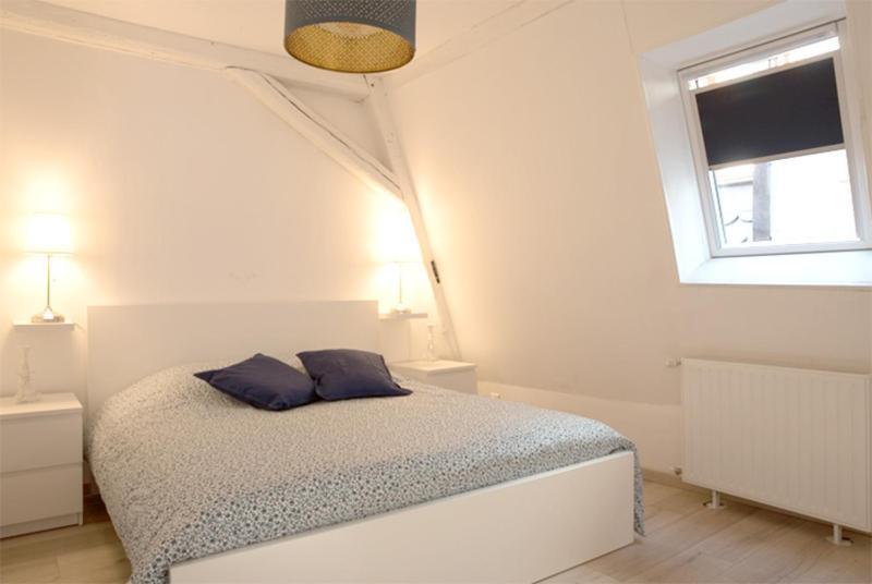 Petite Venise Grand Duplex Turenne Hyper Centre Colmar Extérieur photo